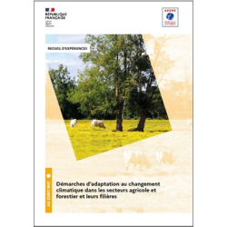Démarches d'adaptation au...