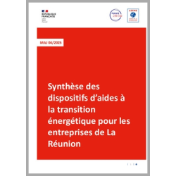 Synthèse des dispositifs...